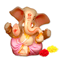 SUPPLIERS OF BEST QUALITY DRY MUSHROOMS TO INDIA / INTERNATIONAL