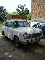 Shree Jay Motor Draving Training School Varanasi