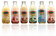 Dairy Business - Flavoured Milkshakes