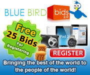 BLUEBIRDBIDS! Penny Auction Affiliate Economic Rescue Plan.