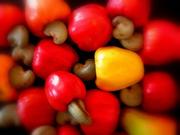 5000 tons of cashew nuts from Benin