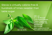STEVIA CONTRACT FARMING.CONT-09256001700, 09256004300