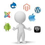 Hiring Developers with Softtix India