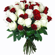Send Flowers to Mumbai,  Onine Florist in Mumbai