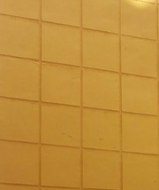 Texo-Elastomeric Coating