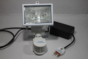 Halogen Security Light