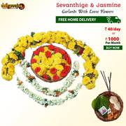 Buy Sevanthige And 2 Jasmine Garlands Combo @ Rs 40/- Only