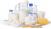 Dairy Industry in India