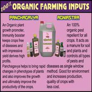 Puduvai Mooligai Maiyam