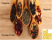 Logistics and Foreign Trade Services in Hyderabad