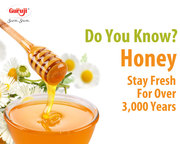 Online Shopping Store In Indore Shree Guruji Products