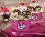 Baskin Robbins Franchise Business Opportunity at your location 