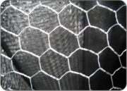 Chicken Wire Mesh Suppliers