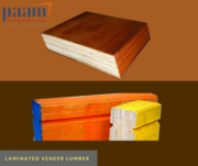 Seasoned,  waterproof and non adherent laminated veneer lumber