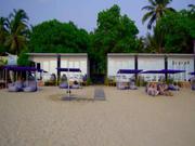 SALE Operational Resort Business on the Beach in Agonda,  South Goa.