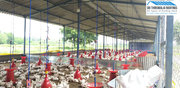 POULTRY FARM CONSTRUCTION