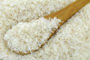 Psyllium husk manufacturers and Supplier in India