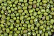 green mung beans