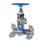 Globe Valves Manufacturers