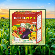 Trichoderma Harzianum Best For Crops By Peptech Biosciences