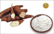 supplier and manufacturer of tapioca starch powder in India