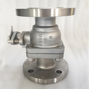 Cast Stainless Steel 304L(CF3) Valves