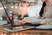 Delhi's Best Detective Agency 