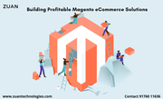 Zuan renders Magento custom development services