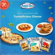 Cheese Manufacturers in Delhi