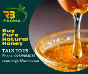 Honey Suppliers in India