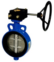 Best Quality Globe Valve at best price