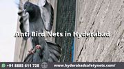 Anti Bird Nets in Hyderabad