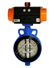 Butterfly Valve Manufacturers,  Supplier & Exporter- BKL Controls