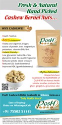 BEST CASHEW NUTS MANUFACTURER WHOLESALER AT CHENNAI -POSH NUTS