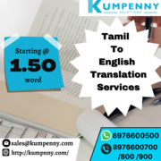 Get Tamil Document Translation