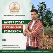 Best Investment For Redsandal plantation | Sai Properties