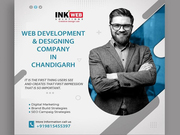 Finding the Right Web Development in Mohali What To Look For Before Yo