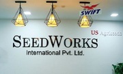 Cotton Seeds Company in India | Seedworks.com