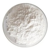 Lactobacillus delbrueckii manufacturers in india