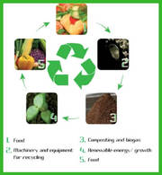 Food Waste Converter | Food Waste converter supplier & Manufacturer