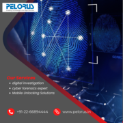 cyber forensics expert | digital investigation | cyber forensics servi