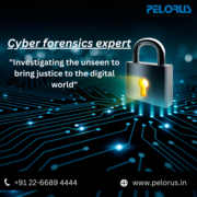 cyber forensics services | Cyber expert near me
