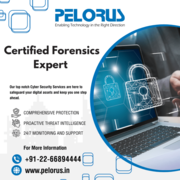 Forensics examiner | Cyber expert near me