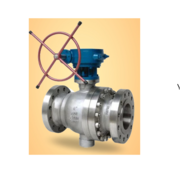 Trunnion Mounted Ball Valve Manufacturer & Supplier