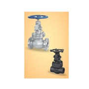 Globe Valve Manufacturer,  