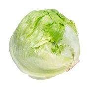 Iceberg Lettuce