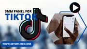 tiktok smm panel :GetMyLikes