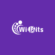 Leading Web Design Company In Nagercoil | Wibits Web Solutions