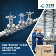 XSIS Valves - Top Valve Manufacturer and Supplier in Ahmedabad,  India