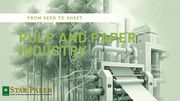 From Seed to Sheet: The Journey of Eucalyptus in Paper Manufacturing